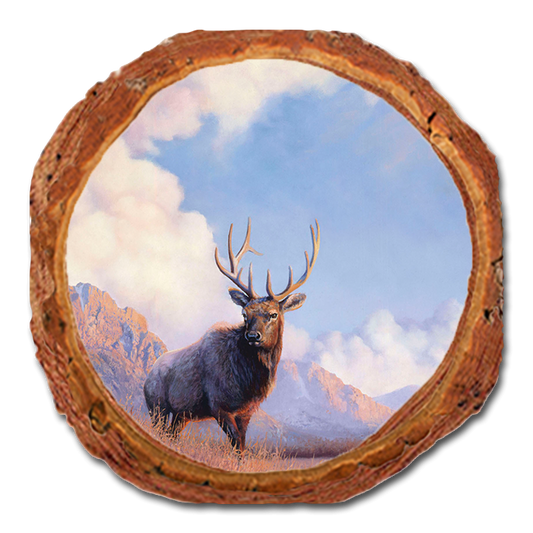 Coaster: Live Edge - Marris' Blue Sky Elk (Pack of 5)