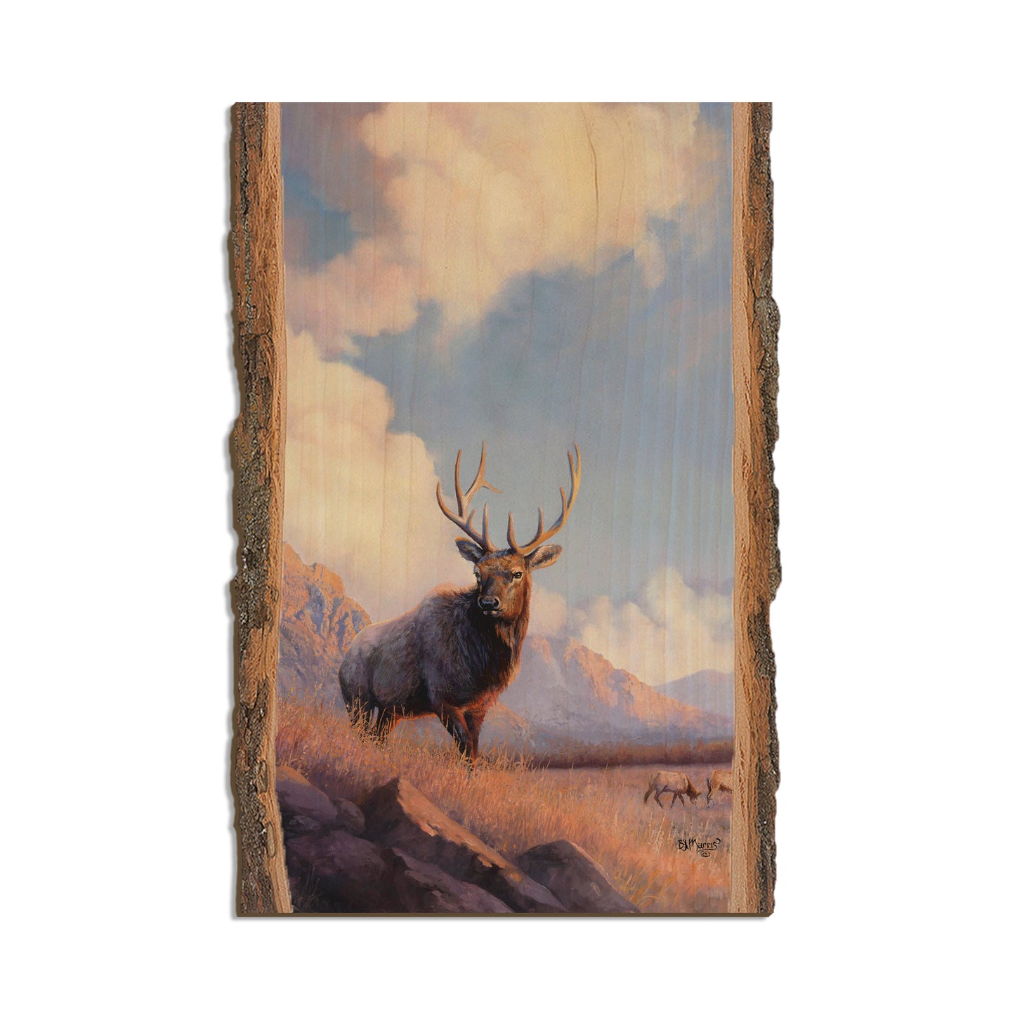 Marris' Blue Sky Elk - Live Edge Live Edge Postcard (5pk // $2.80ea)