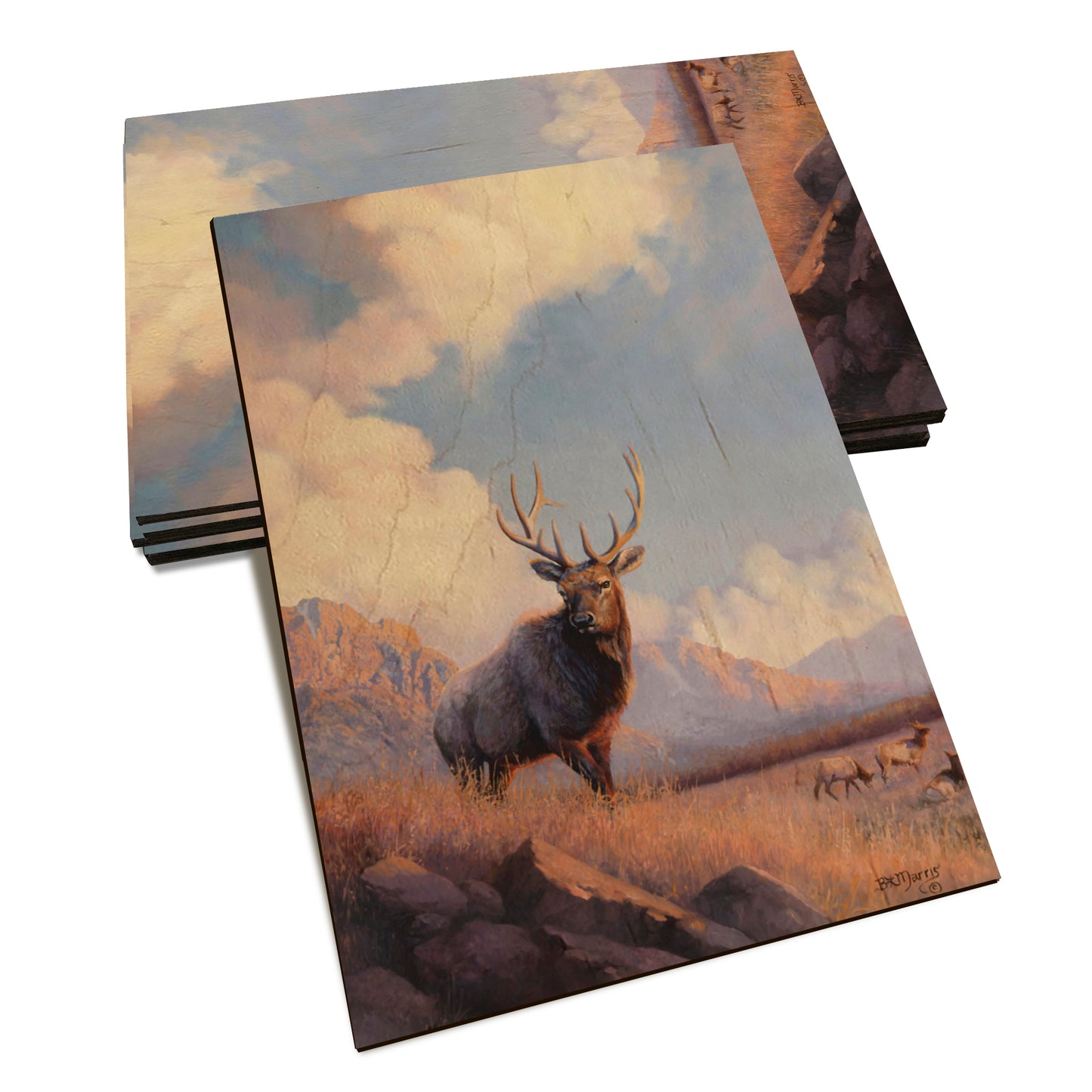 Marris' Blue Sky Elk - Classic Edge Classic Edge Postcard (5pk // $2.80ea)