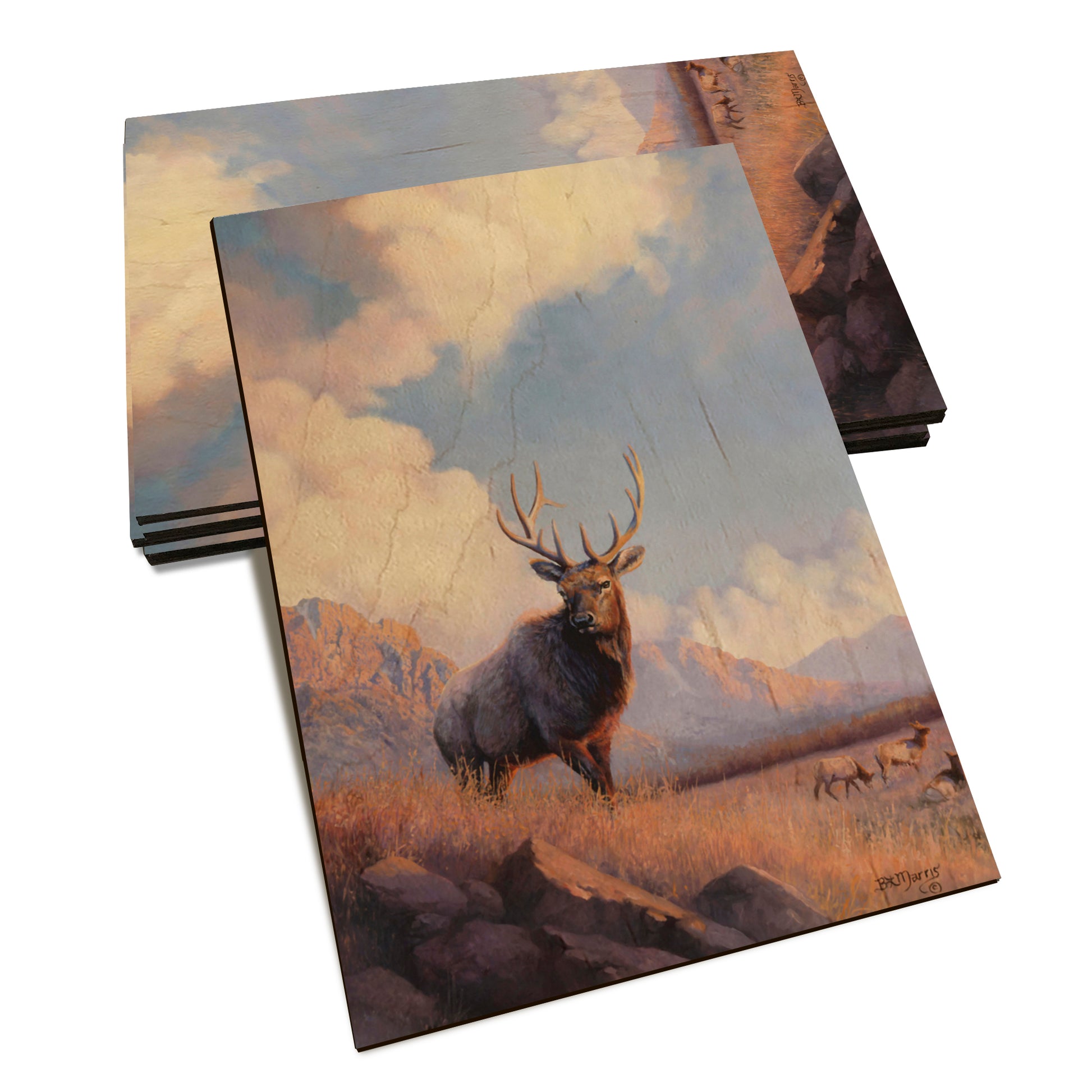 Marris' Blue Sky Elk - Classic Edge Classic Edge Postcard (5pk // $2.80ea)