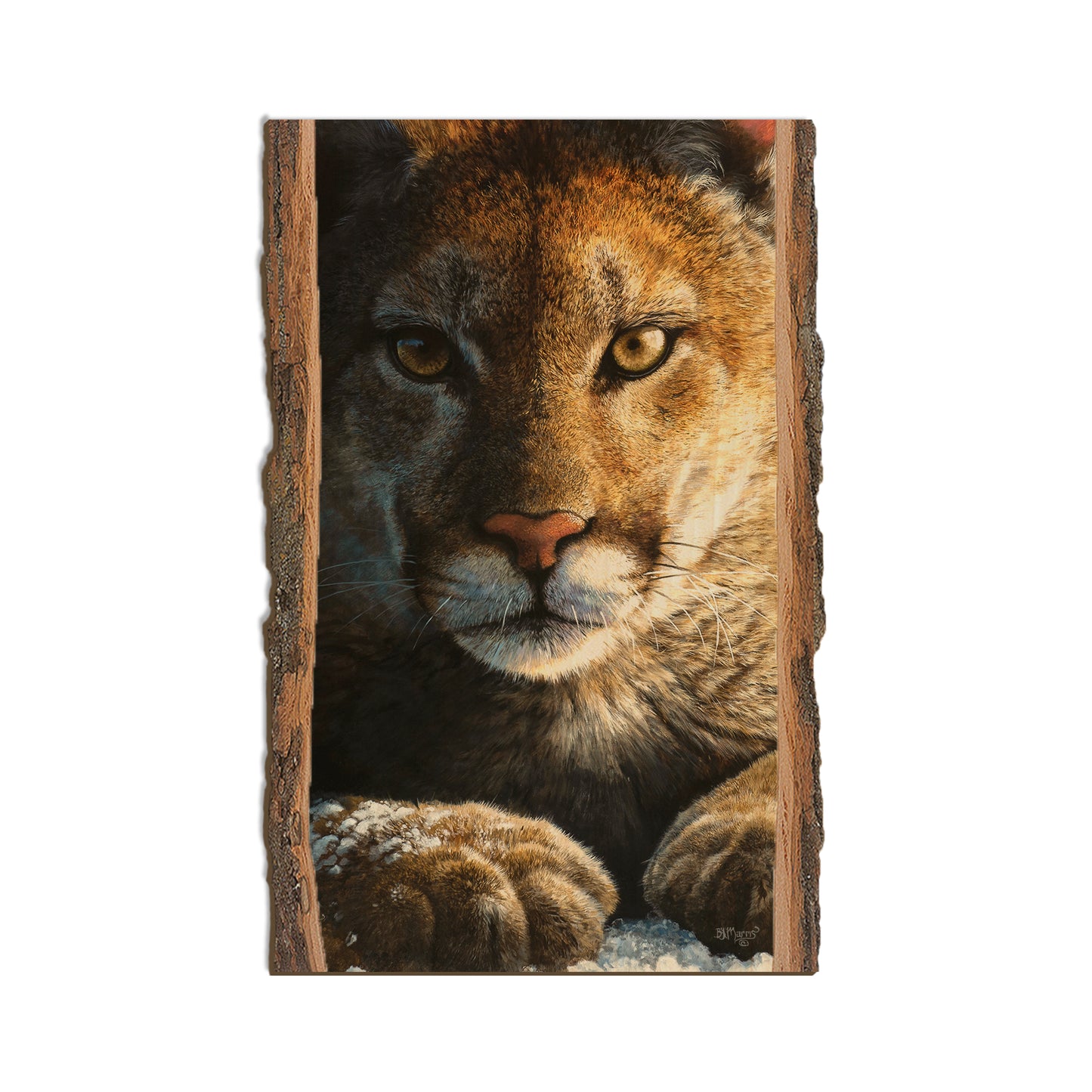 Marris' Cold Reception - Live Edge Live Edge Magnet (5pk // $2.80ea)