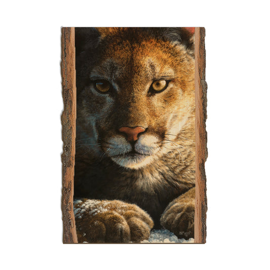 Marris' Cold Reception - Live Edge Live Edge Postcard (5pk // $2.80ea)