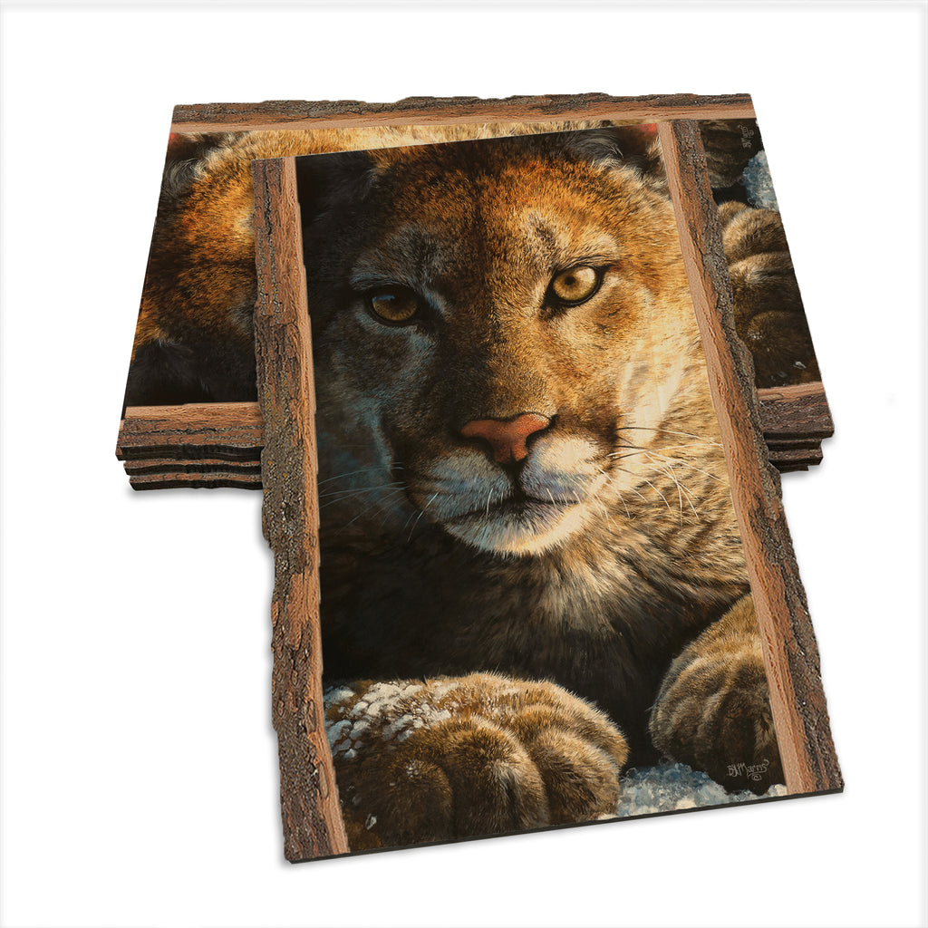 Marris' Cold Reception - Live Edge Live Edge Postcard (5pk // $2.80ea)