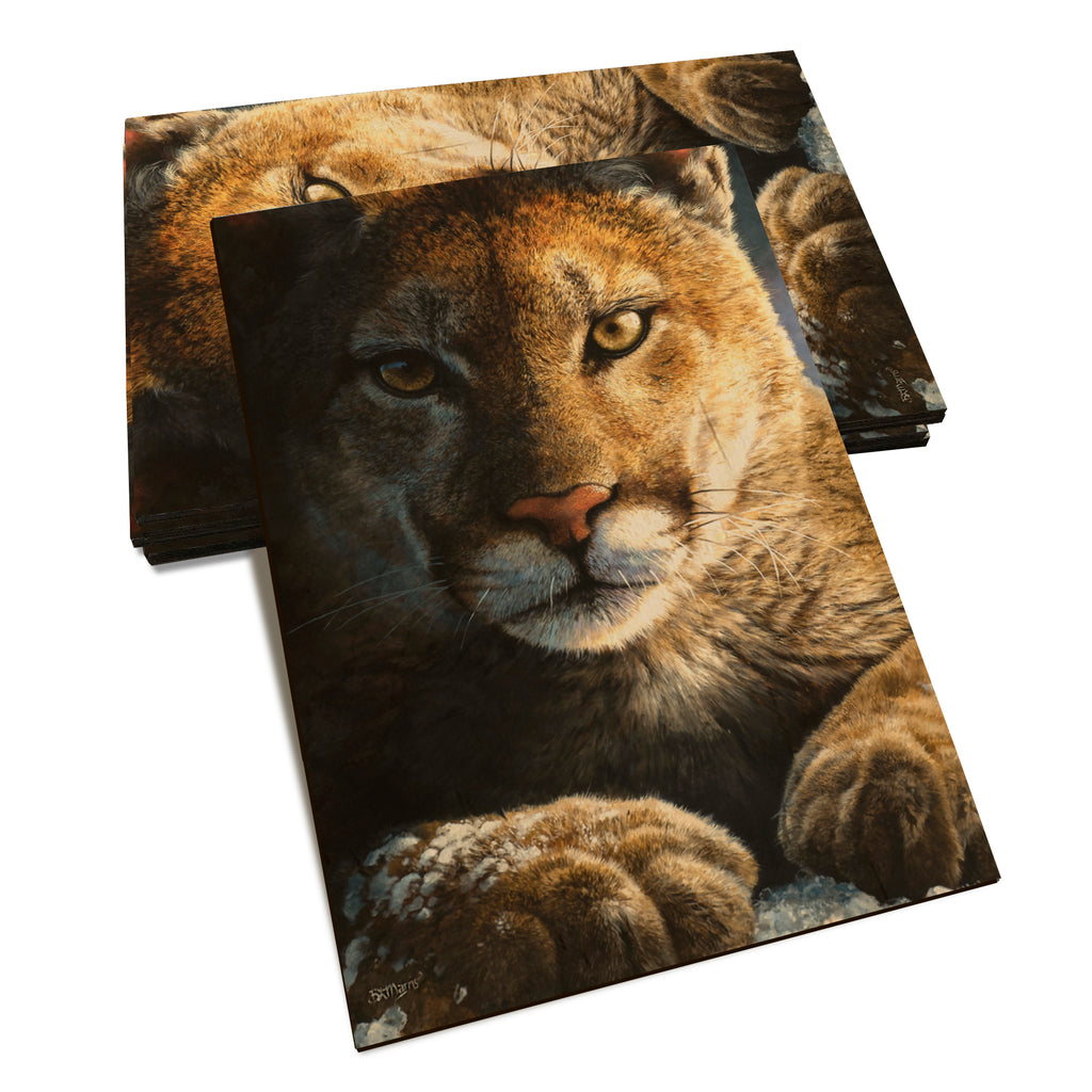 Marris' Cold Reception - Classic Edge Classic Edge Postcard (5pk // $2.80ea)