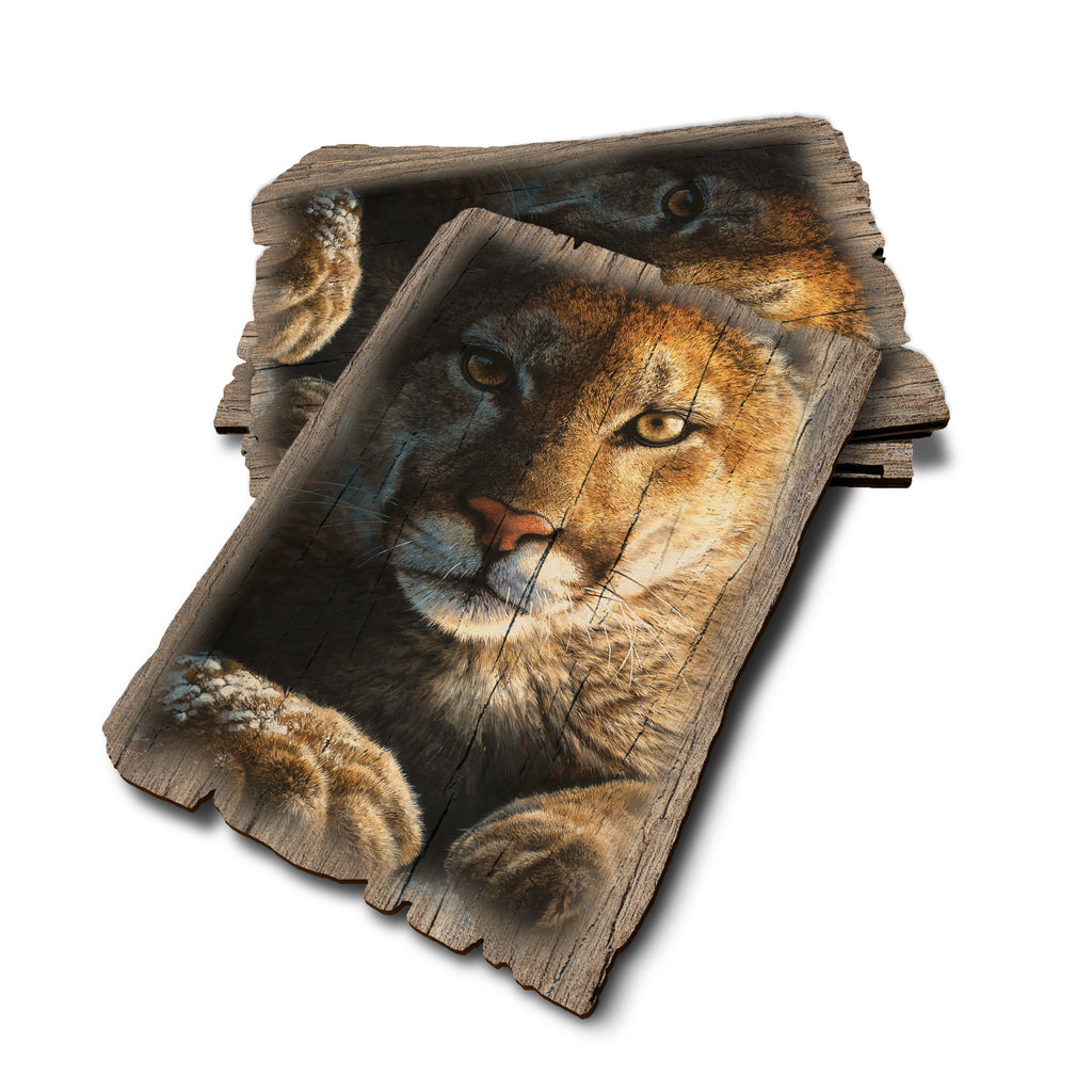 Marris' Cold Reception - Weathered Edge Rustic Edge Postcard (5pk // $2.80ea)