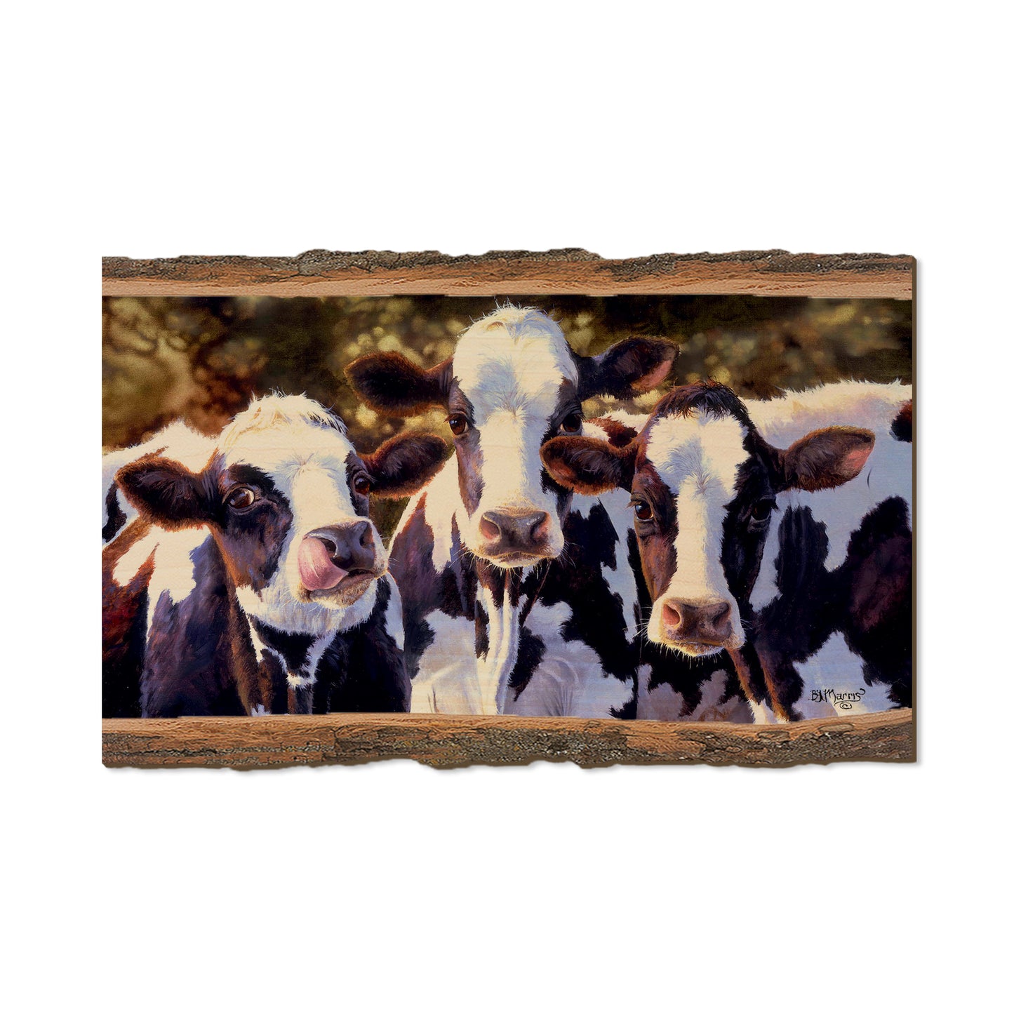 Marris' Dairy Queens - Live Edge Live Edge Magnet (5pk // $2.80ea)