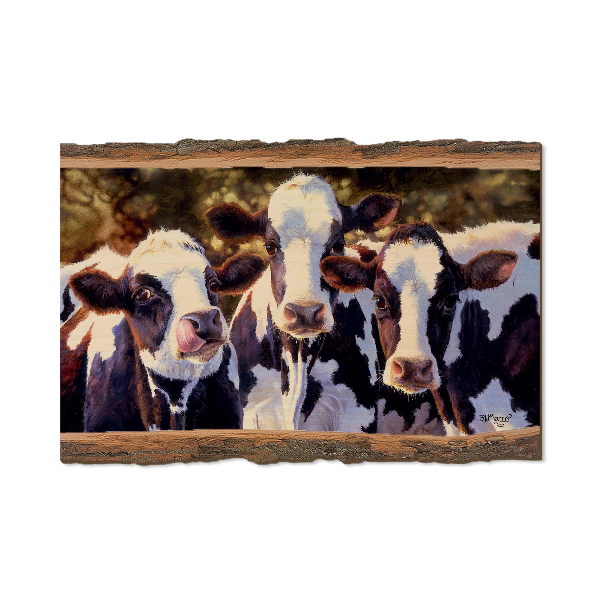 Marris' Dairy Queens - Live Edge Live Edge Postcard (5pk // $2.80ea)