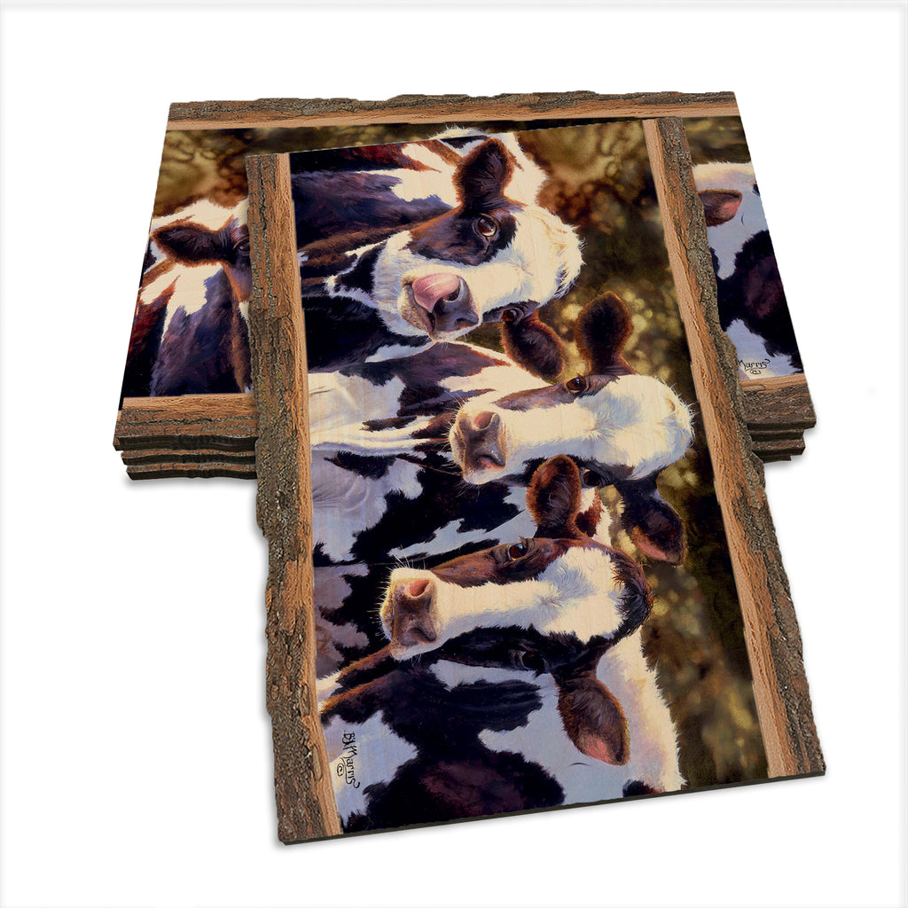 Marris' Dairy Queens - Live Edge Live Edge Postcard (5pk // $2.80ea)