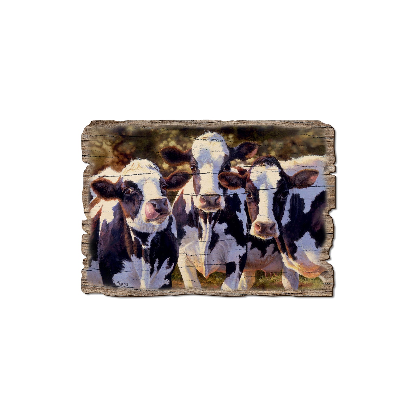 Marris' Dairy Queens - Rustic Edge Postcards & Magnets Rustic Edge Magnet (5pk // $2.80ea)