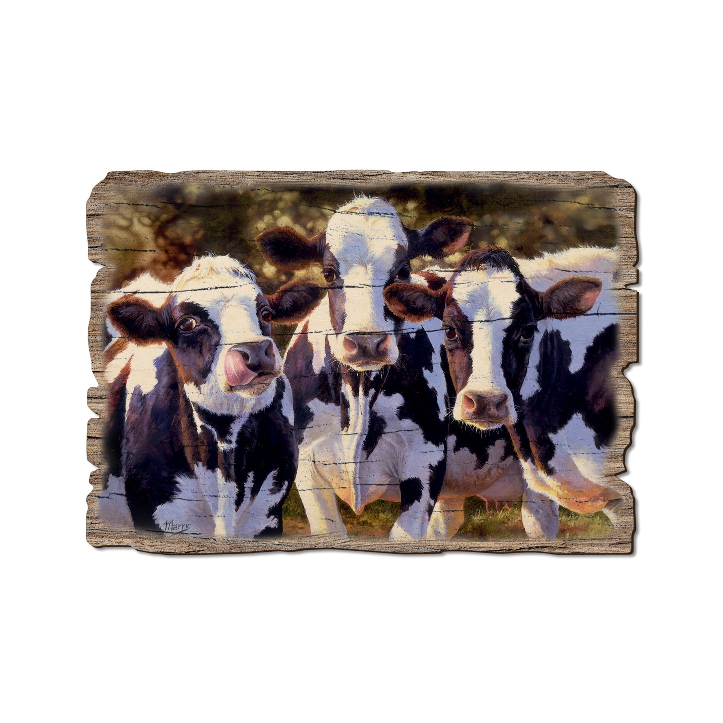 Marris' Dairy Queens - Rustic Edge Postcards & Magnets Rustic Edge Postcard (5pk // $2.80ea)