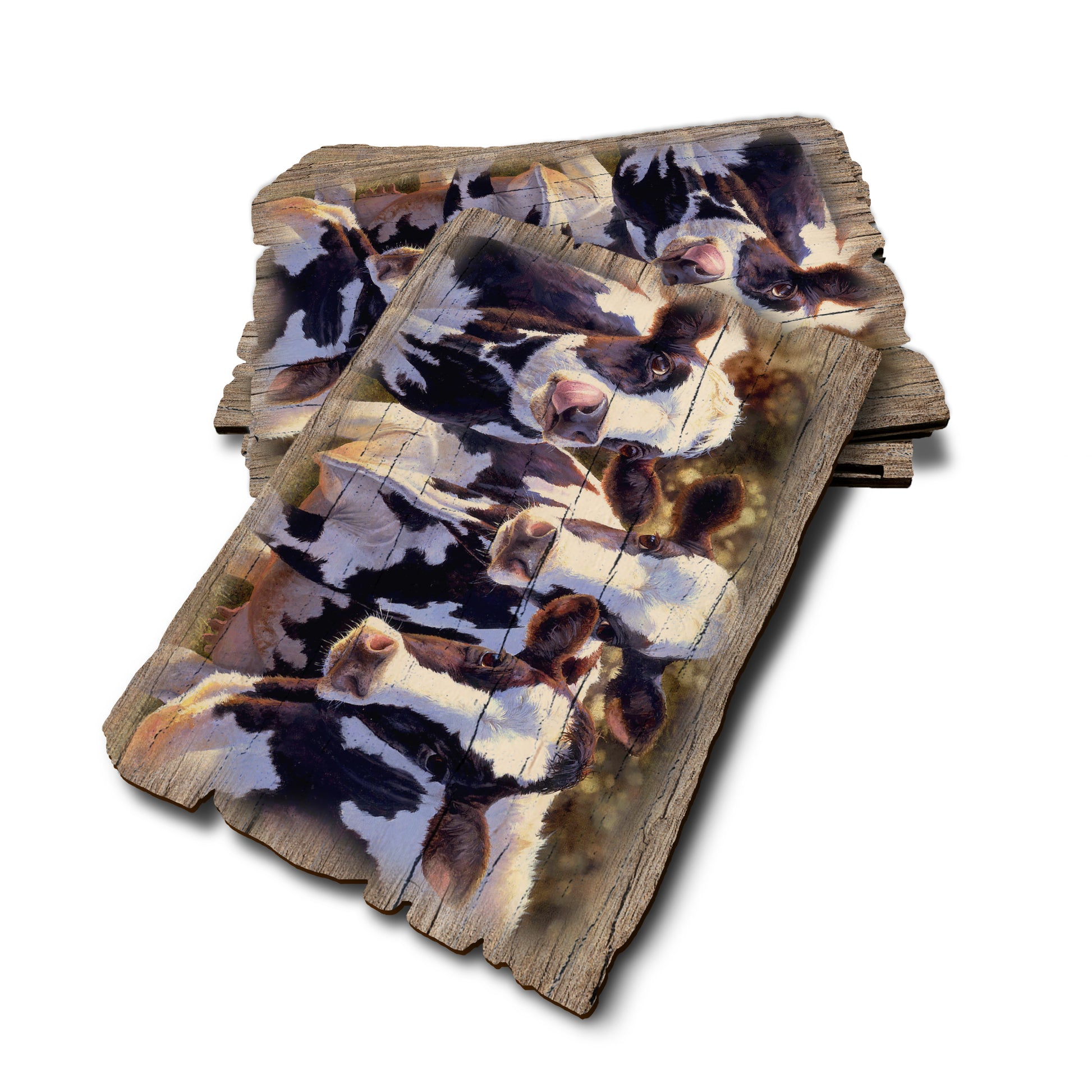 Marris' Dairy Queens - Weathered Edge Rustic Edge Postcard (5pk // $2.80ea)