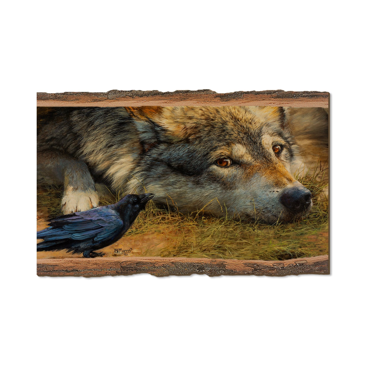Marris' Evening News - Live Edge Live Edge Magnet (5pk // $2.80ea)