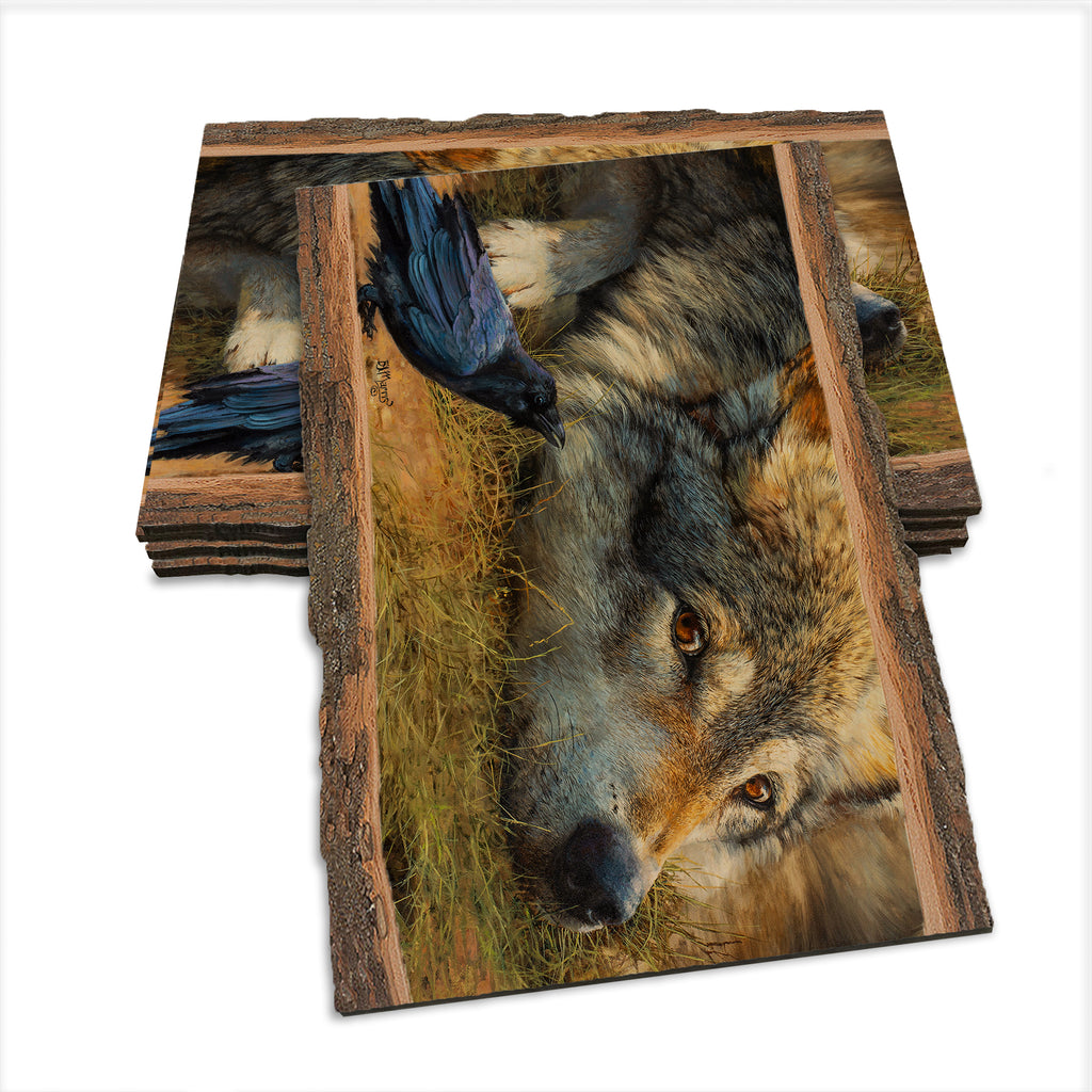 Marris' Evening News - Live Edge Live Edge Postcard (5pk // $2.80ea)