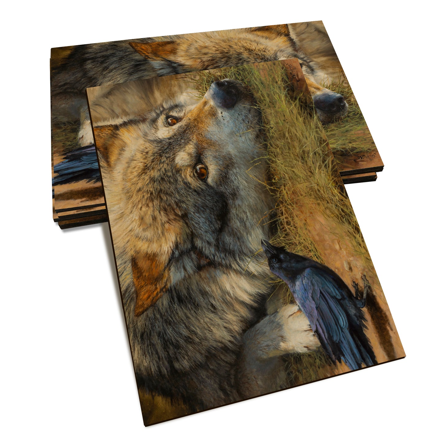 Marris' Evening News - Classic Edge Classic Edge Postcard (5pk // $2.80ea)