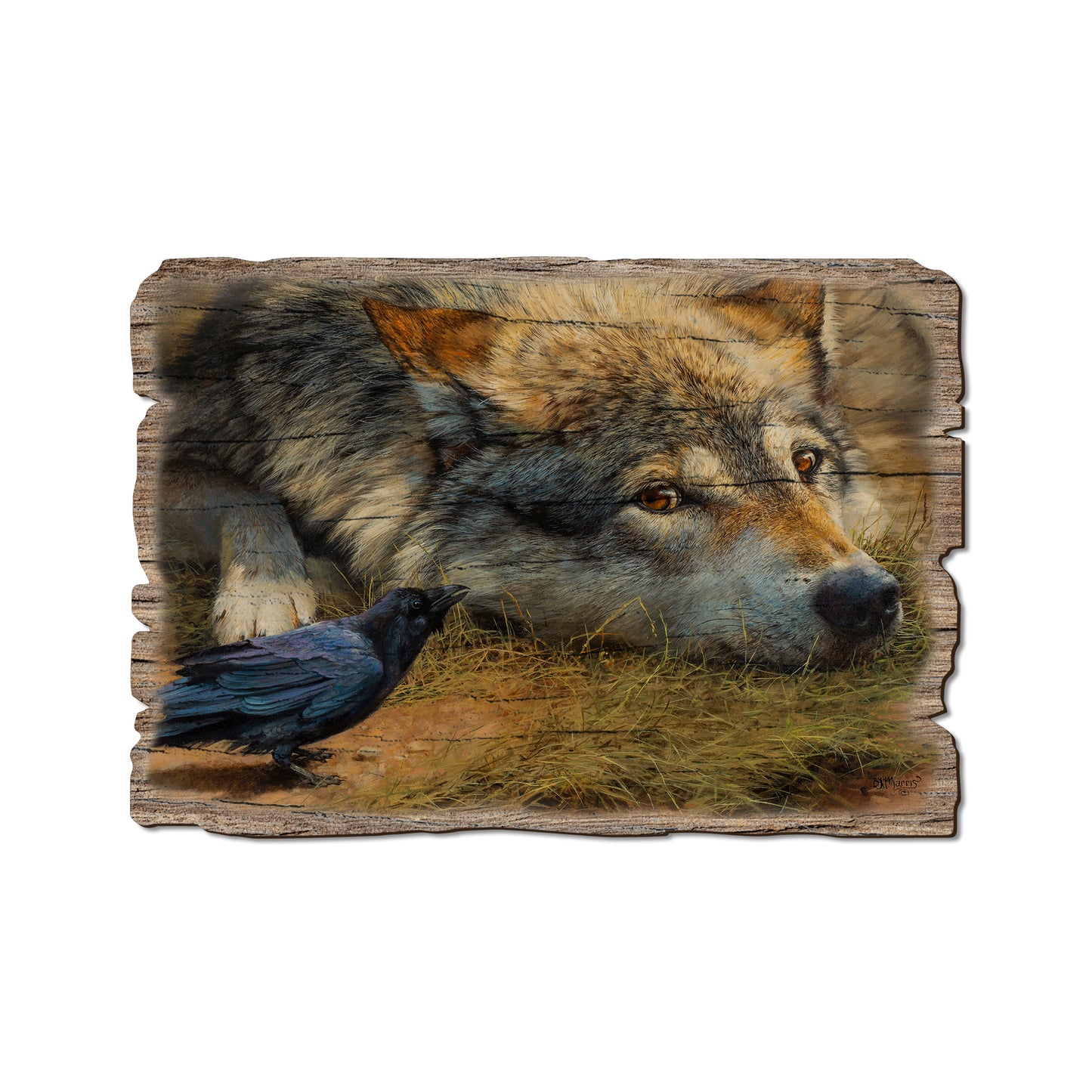 Marris' Evening News - Rustic Edge Postcards & Magnets Rustic Edge Postcard (5pk // $2.80ea)