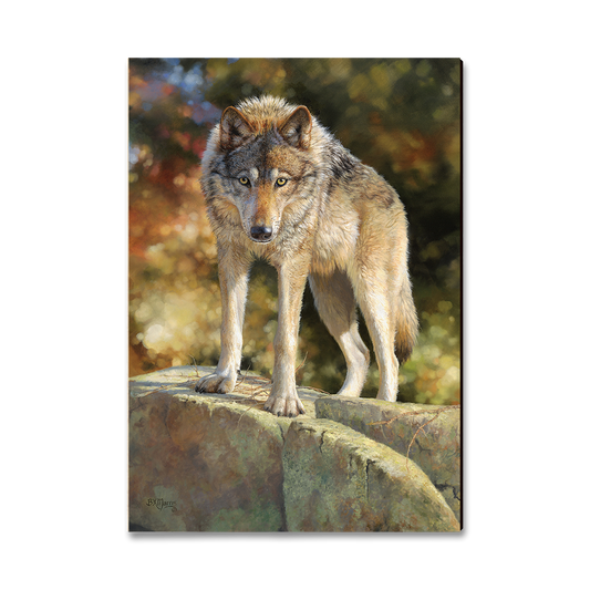 Magnet: Classic Edge - Marris' Eye to Eye