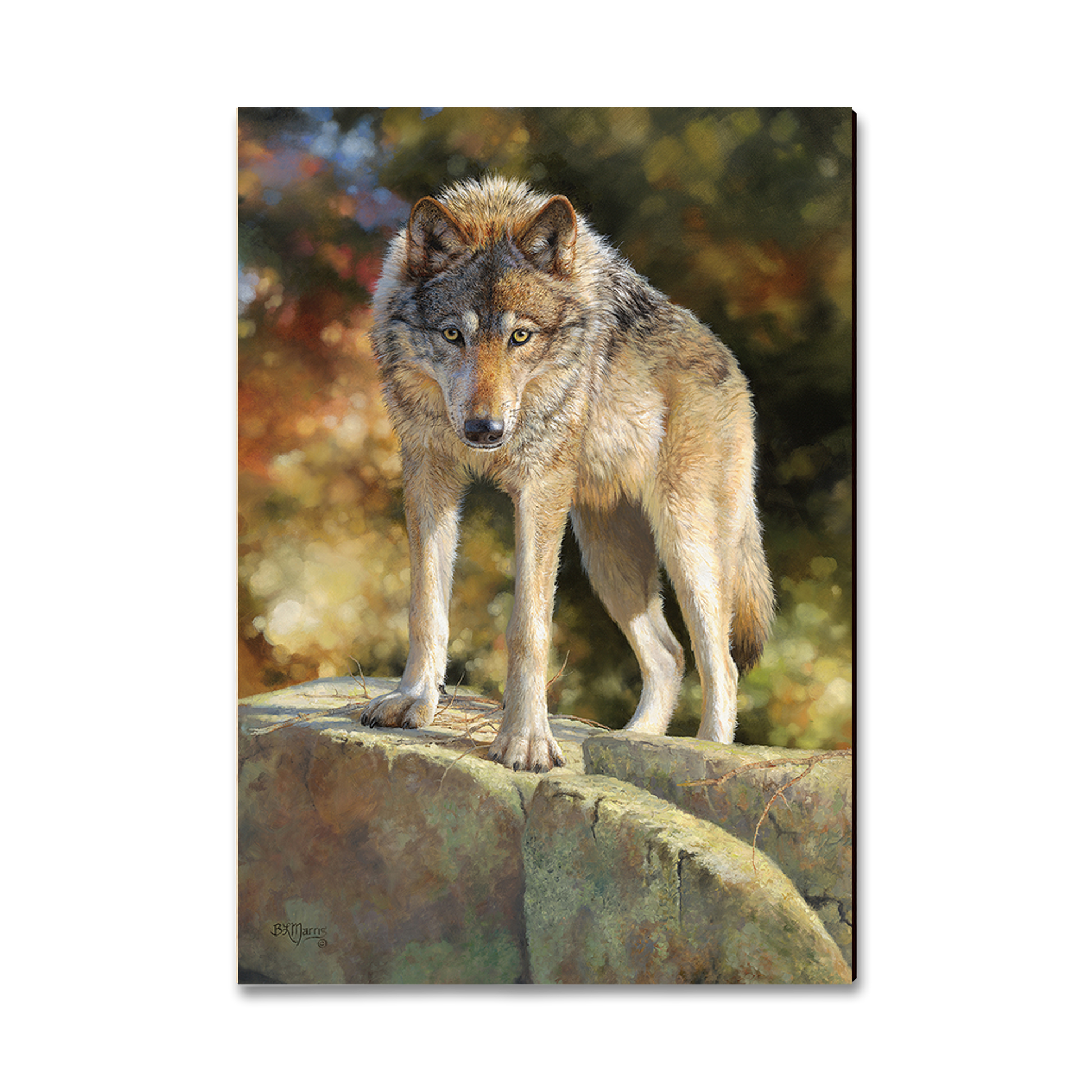 Ornament: Classic Edge - Marris' Eye to Eye