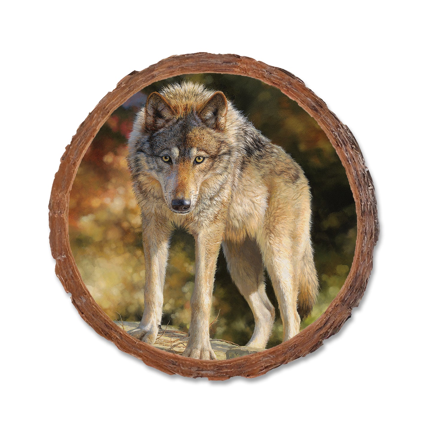 Marris' Eye to Eye - Live Edge