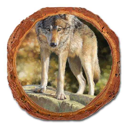 Coaster: Live Edge - Marris' Eye to Eye