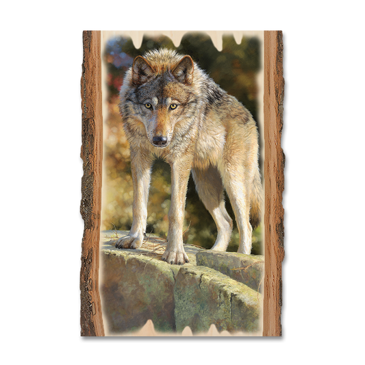 Greeting Card: Live Edge - Marris' Eye to Eye