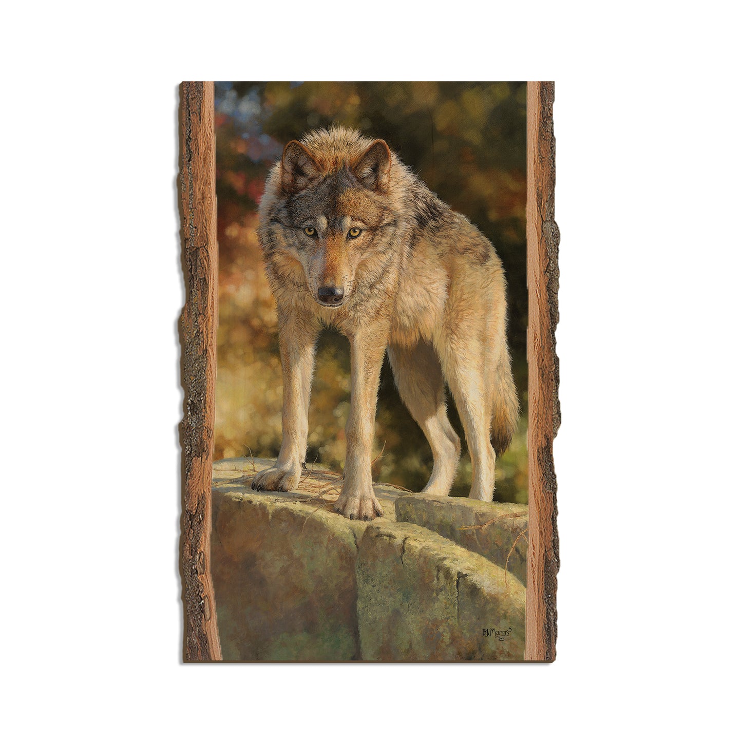 Marris' Eye to Eye - Live Edge Live Edge Magnet (5pk // $2.80ea)