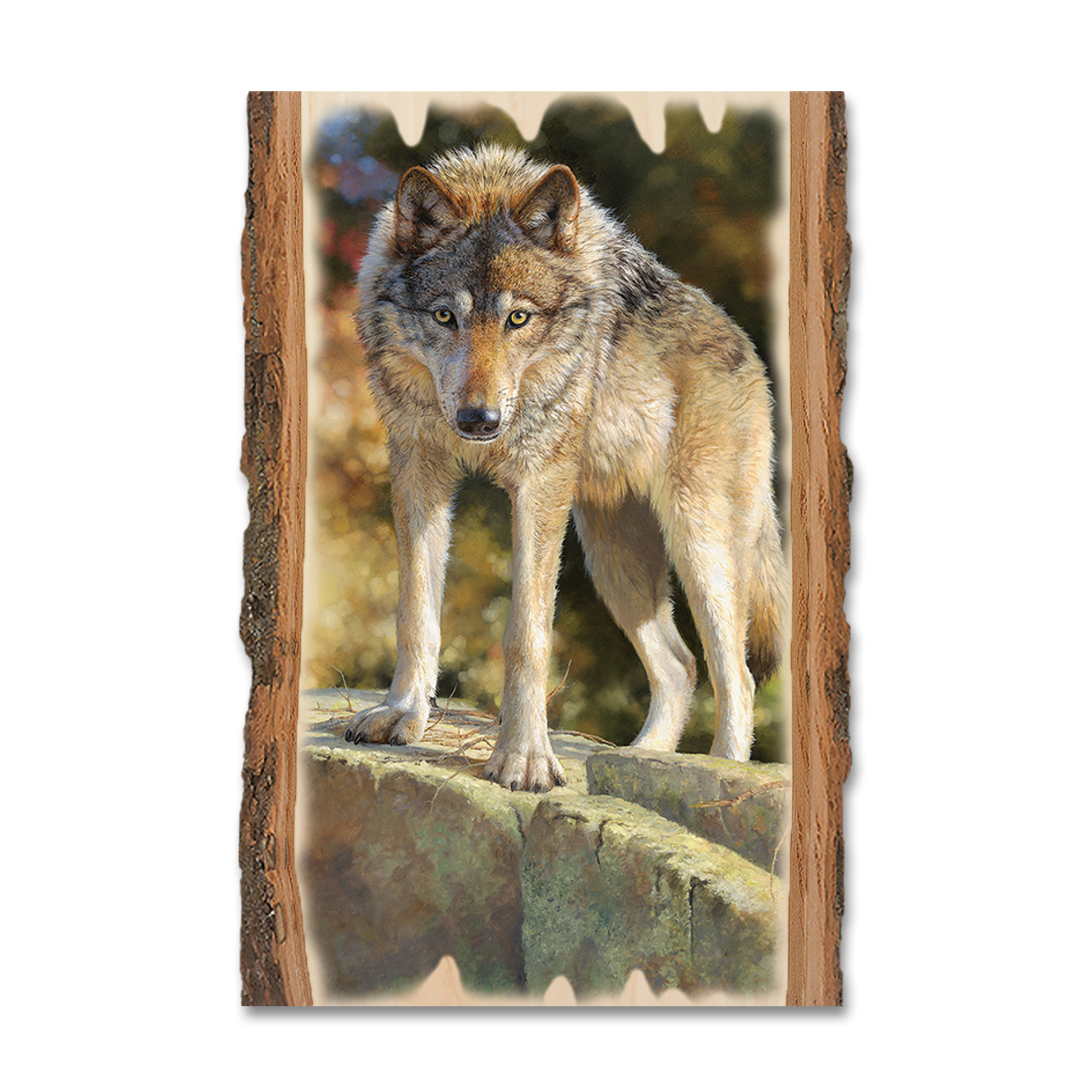 Ornament: Live Edge - Marris' Eye to Eye