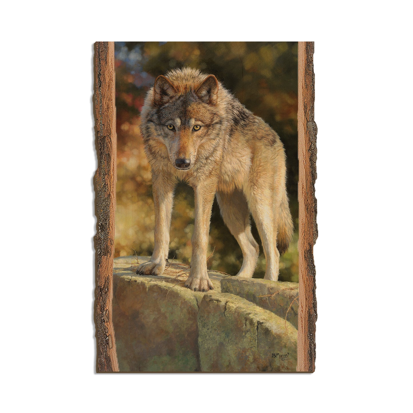 Marris' Eye to Eye - Live Edge Live Edge Postcard (5pk // $2.80ea)