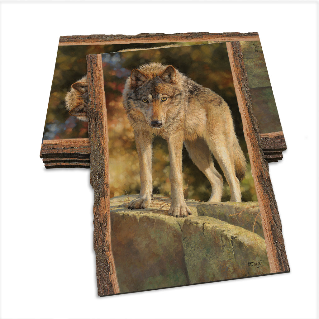 Marris' Eye to Eye - Live Edge Live Edge Postcard (5pk // $2.80ea)