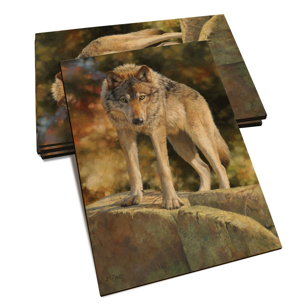 Marris' Eye to Eye - Classic Edge Classic Edge Postcard (5pk // $2.80ea)