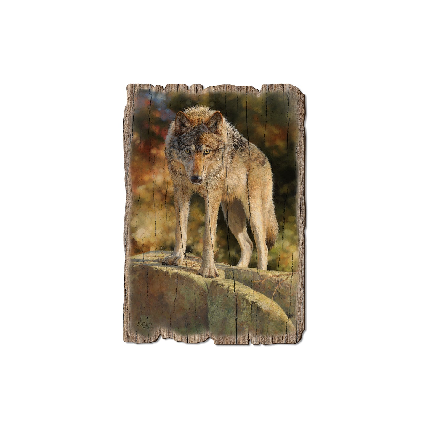 Marris' Eye To Eye - Rustic Edge Postcards & Magnets Rustic Edge Magnet (5pk // $2.80ea)