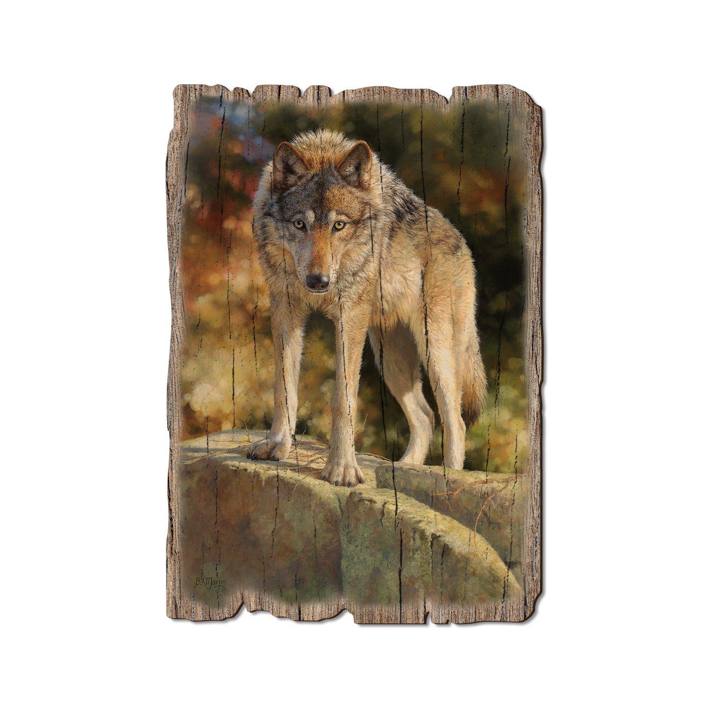 Marris' Eye To Eye - Rustic Edge Postcards & Magnets Rustic Edge Postcard (5pk // $2.80ea)
