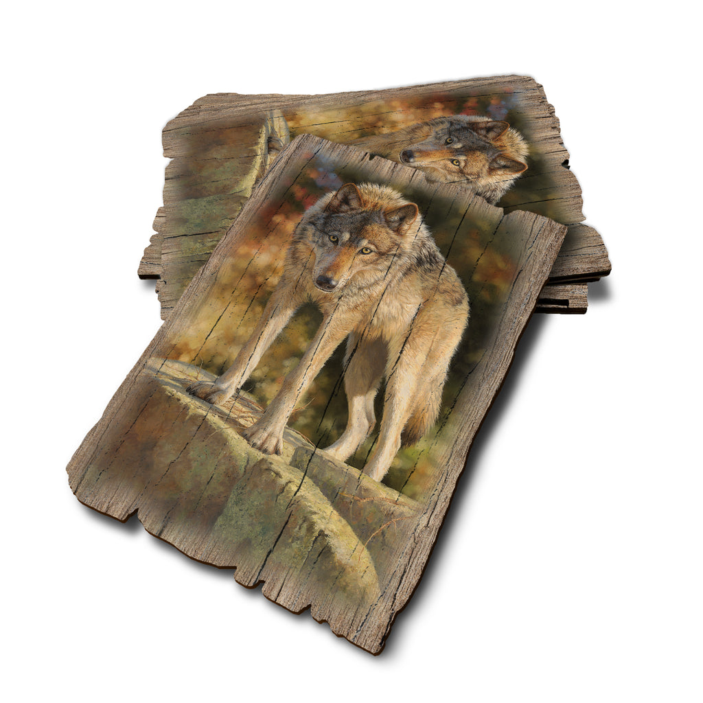 Marris' Eye To Eye - Weathered Edge Rustic Edge Postcard (5pk // $2.80ea)