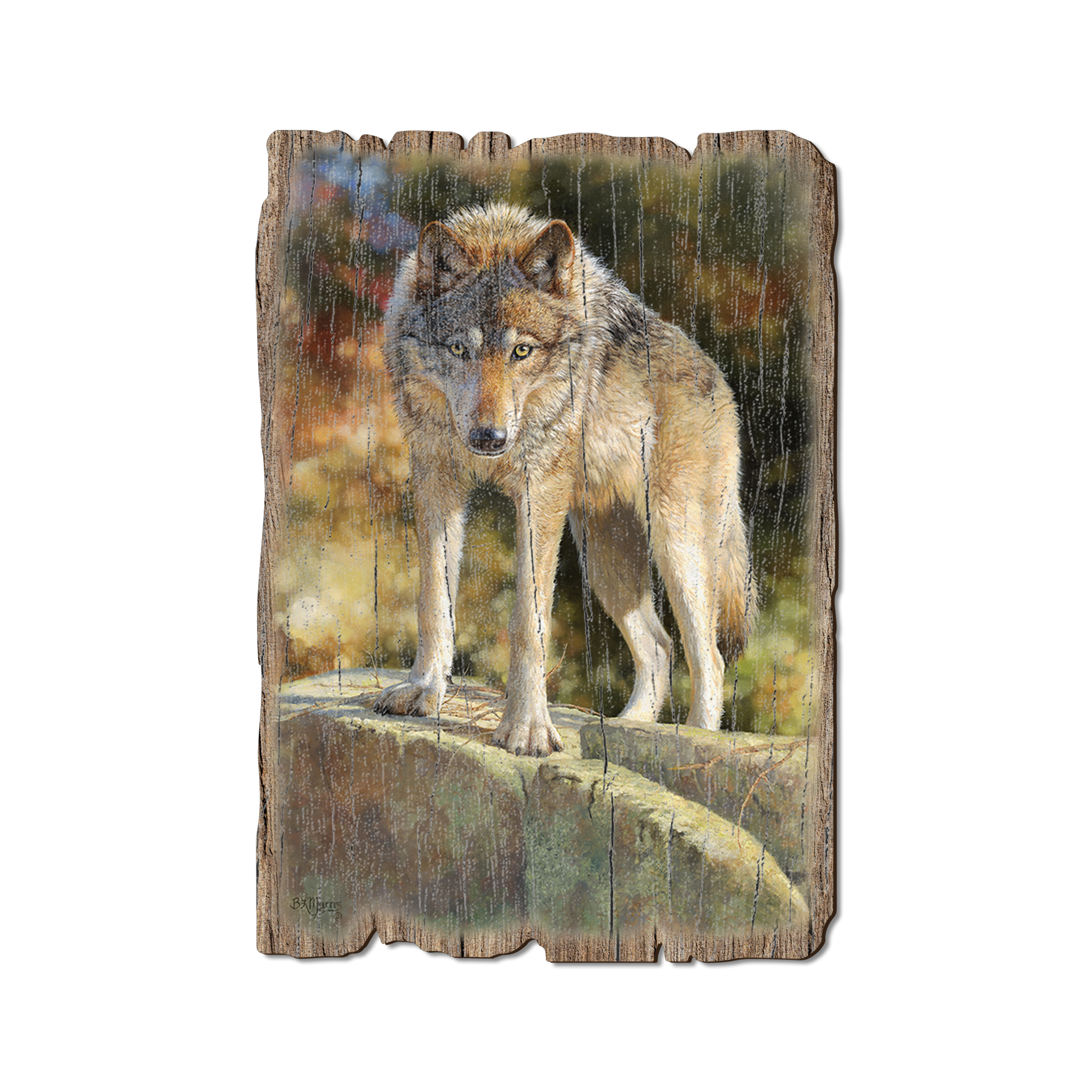 Greeting Card: Weathered Edge - Marris' Eye to Eye