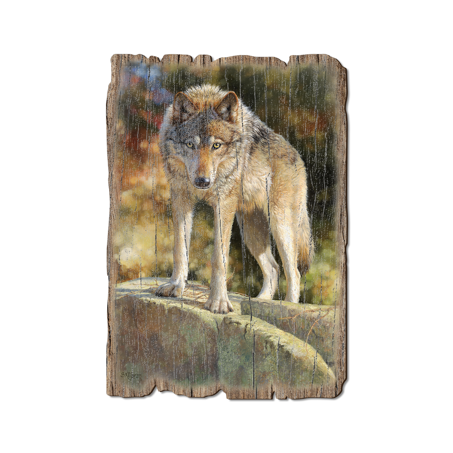 Ornament: Weathered Edge - Marris' Eye to Eye