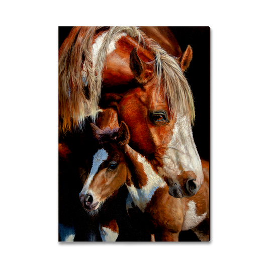 Greeting Card: Classic Edge - Marris' First Foal