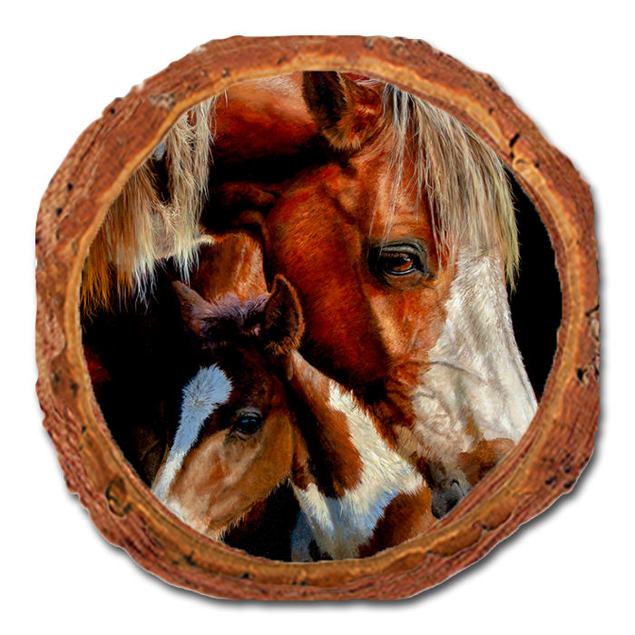 Coaster: Live Edge - Marris' First Foal (Pack of 5)