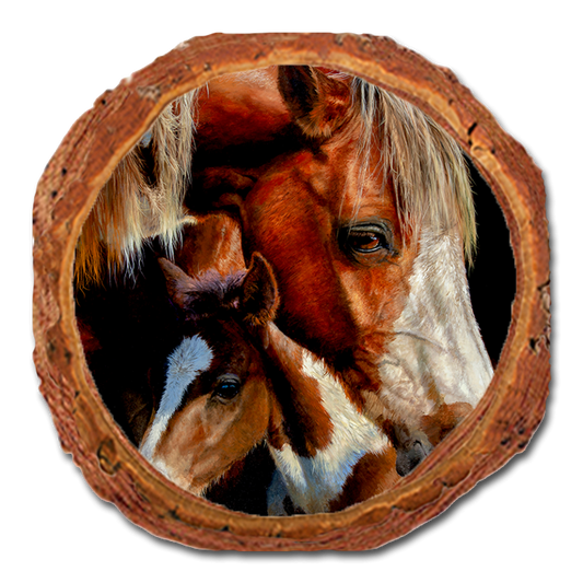 Coaster: Live Edge - Marris' First Foal (Pack of 5)