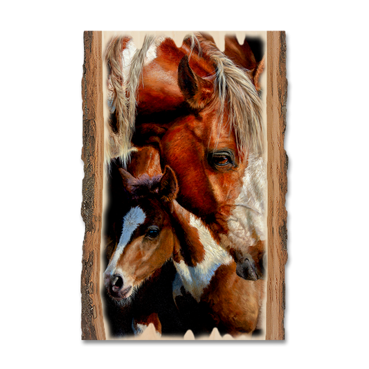 Greeting Card: Live Edge - Marris' First Foal