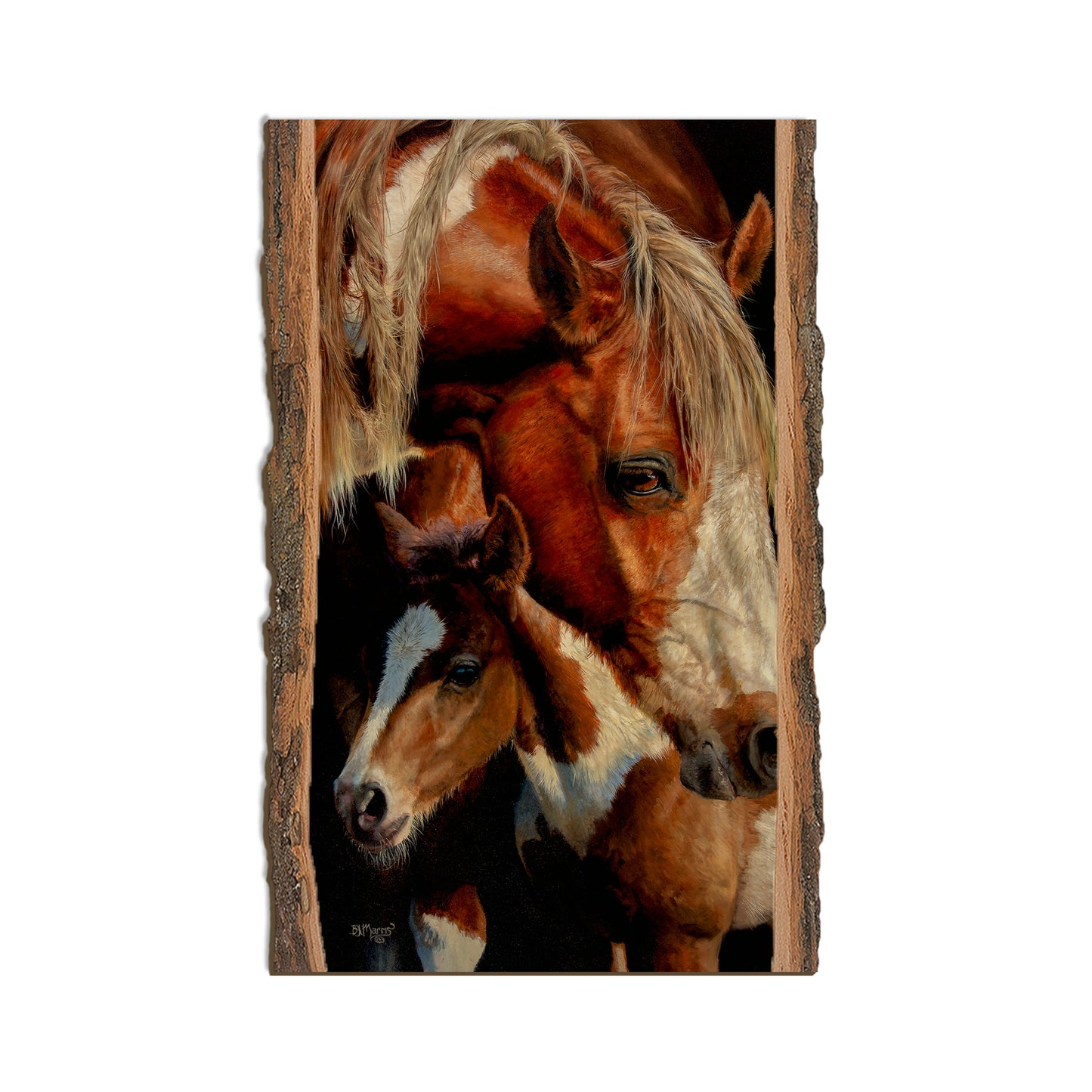Marris' First Foal - Live Edge Live Edge Magnet (5pk // $2.80ea)