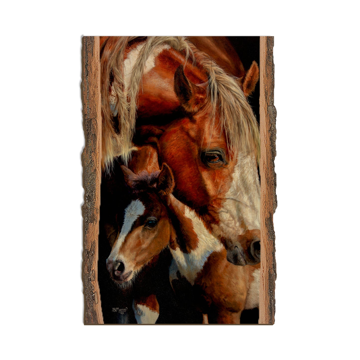 Marris' First Foal - Live Edge Live Edge Postcard (5pk // $2.80ea)