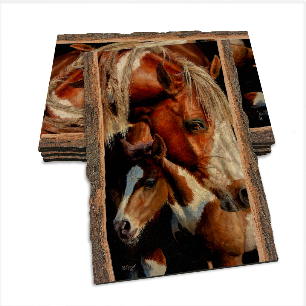 Marris' First Foal - Live Edge Live Edge Postcard (5pk // $2.80ea)