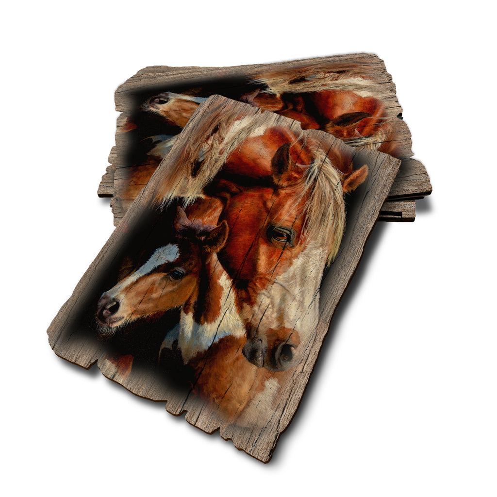 Marris' First Foal - Weathered Edge Rustic Edge Postcard (5pk // $2.80ea)