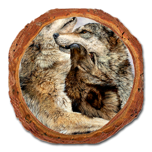 Coaster: Live Edge - Marris' Family Reunion (Pack of 5)