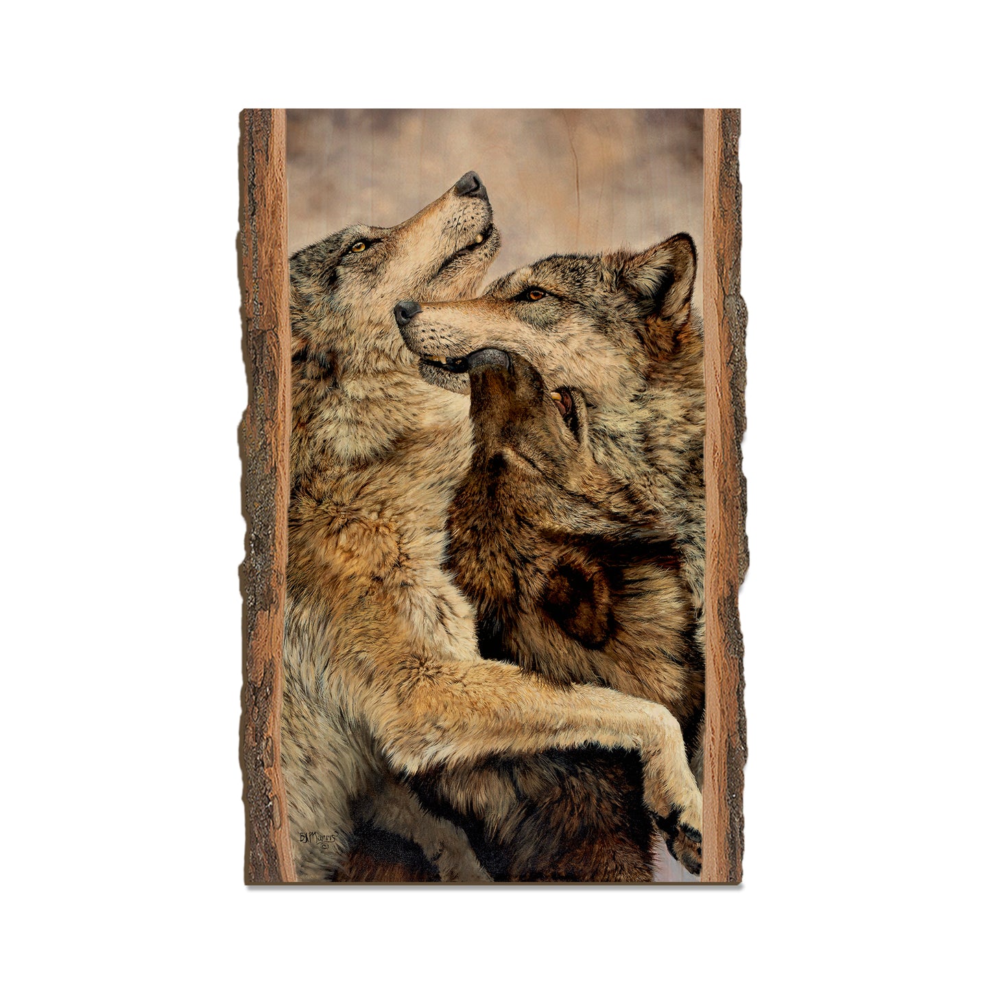 Marris' Family Reunion - Live Edge Live Edge Magnet (5pk // $2.80ea)