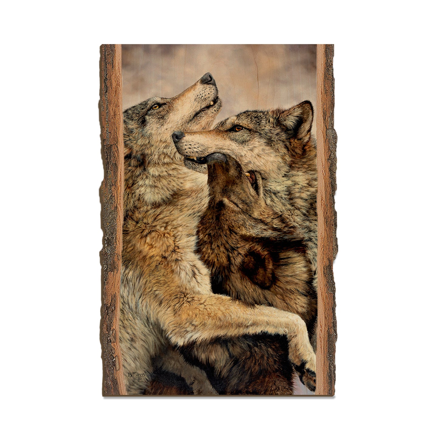 Marris' Family Reunion - Live Edge Live Edge Postcard (5pk // $2.80ea)