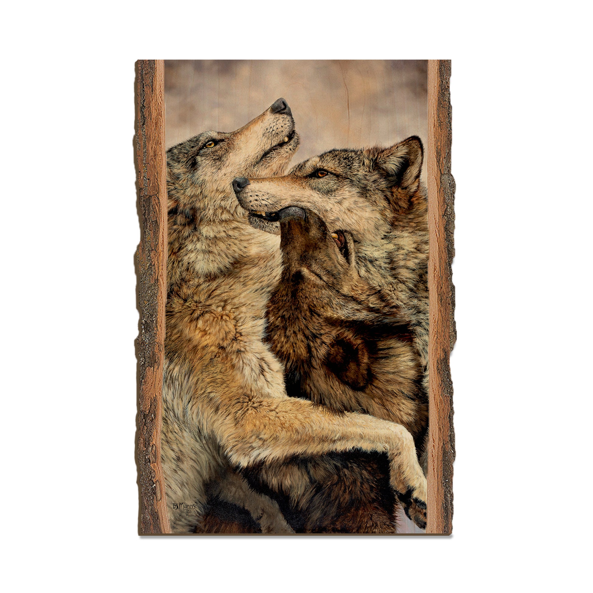 Marris' Family Reunion - Live Edge Live Edge Postcard (5pk // $2.80ea)