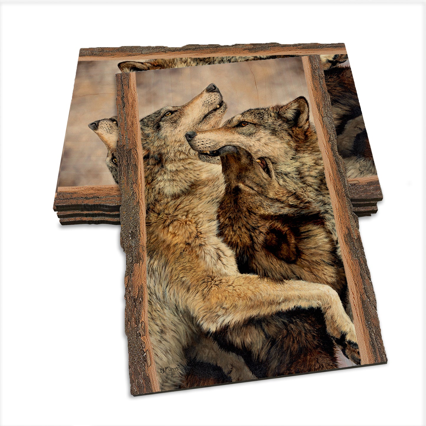 Marris' Family Reunion - Live Edge Live Edge Postcard (5pk // $2.80ea)