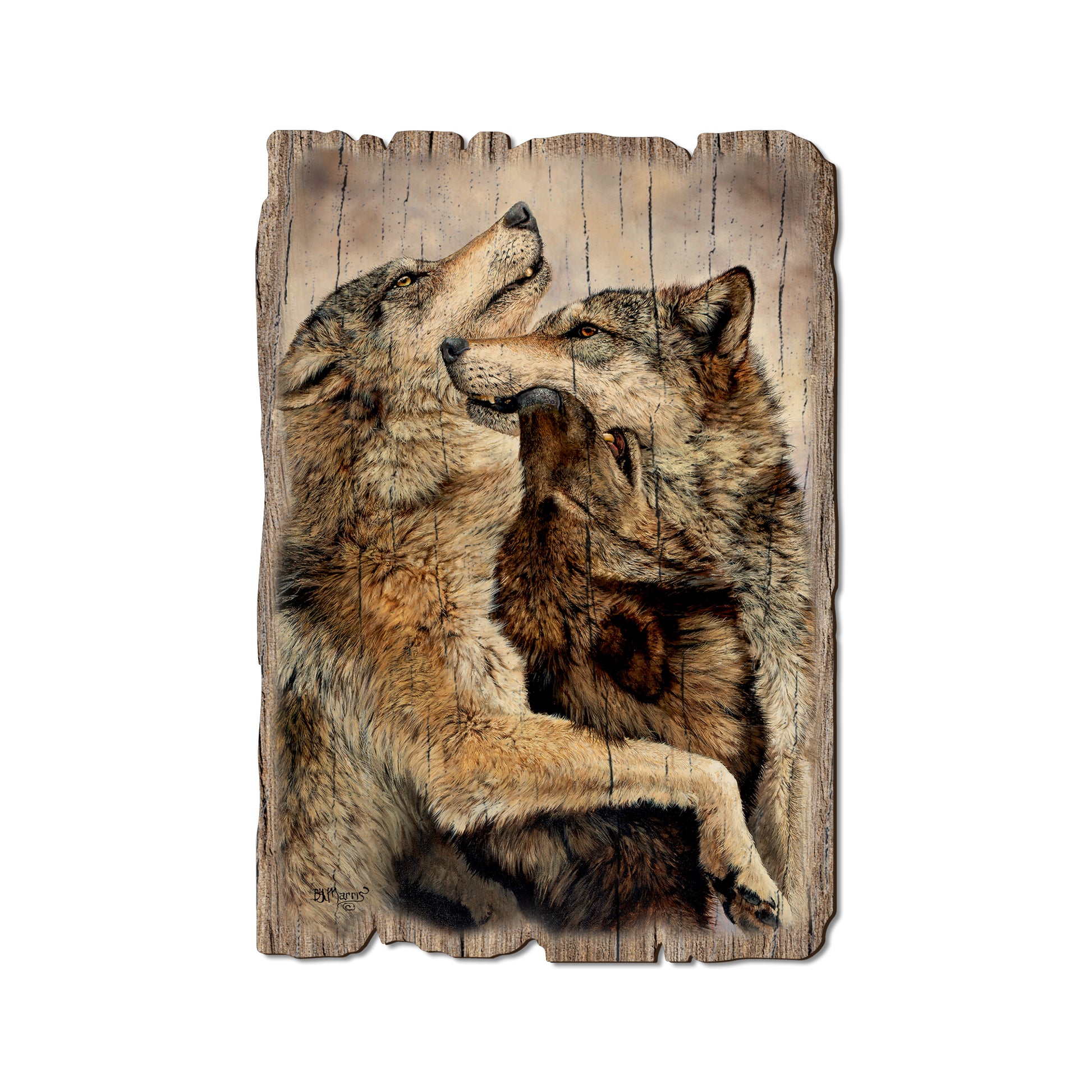Marris' Family Reunion - Rustic Edge Postcards & Magnets Rustic Edge Postcard (5pk // $2.80ea)