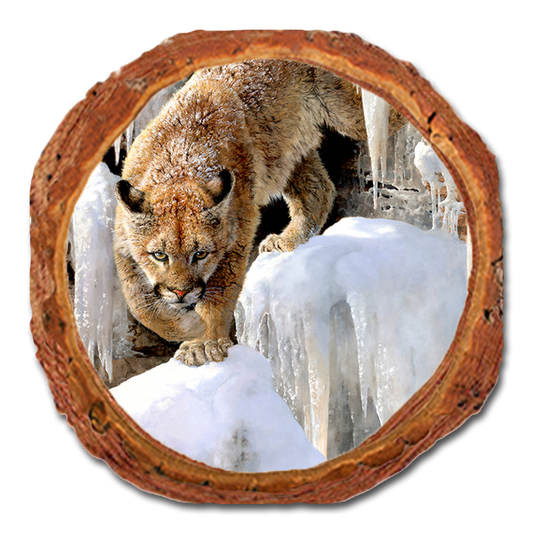 Coaster: Live Edge - Marris' Ice Princess
