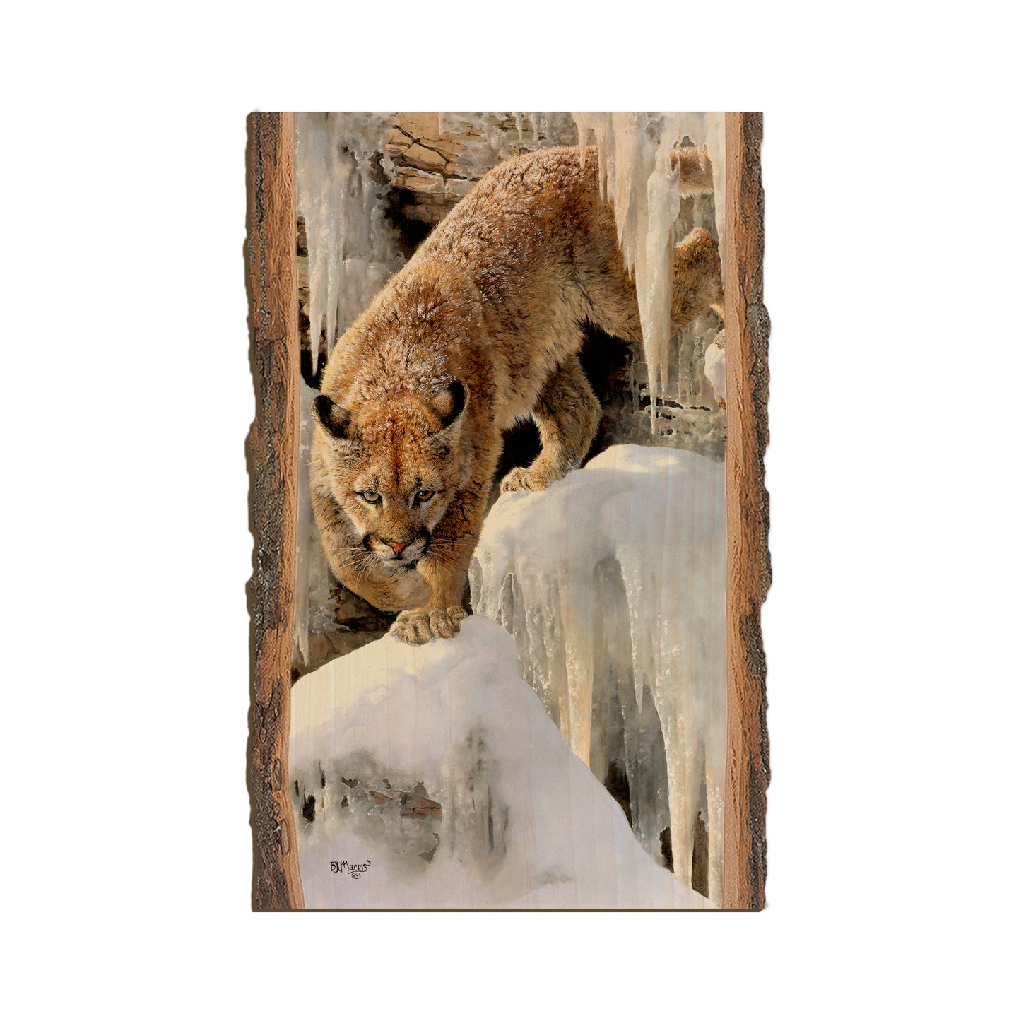 Marris' Ice Princess - Live Edge Live Edge Magnet (5pk // $2.80ea)